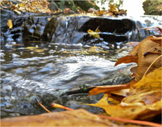 云呼讨债神器软件